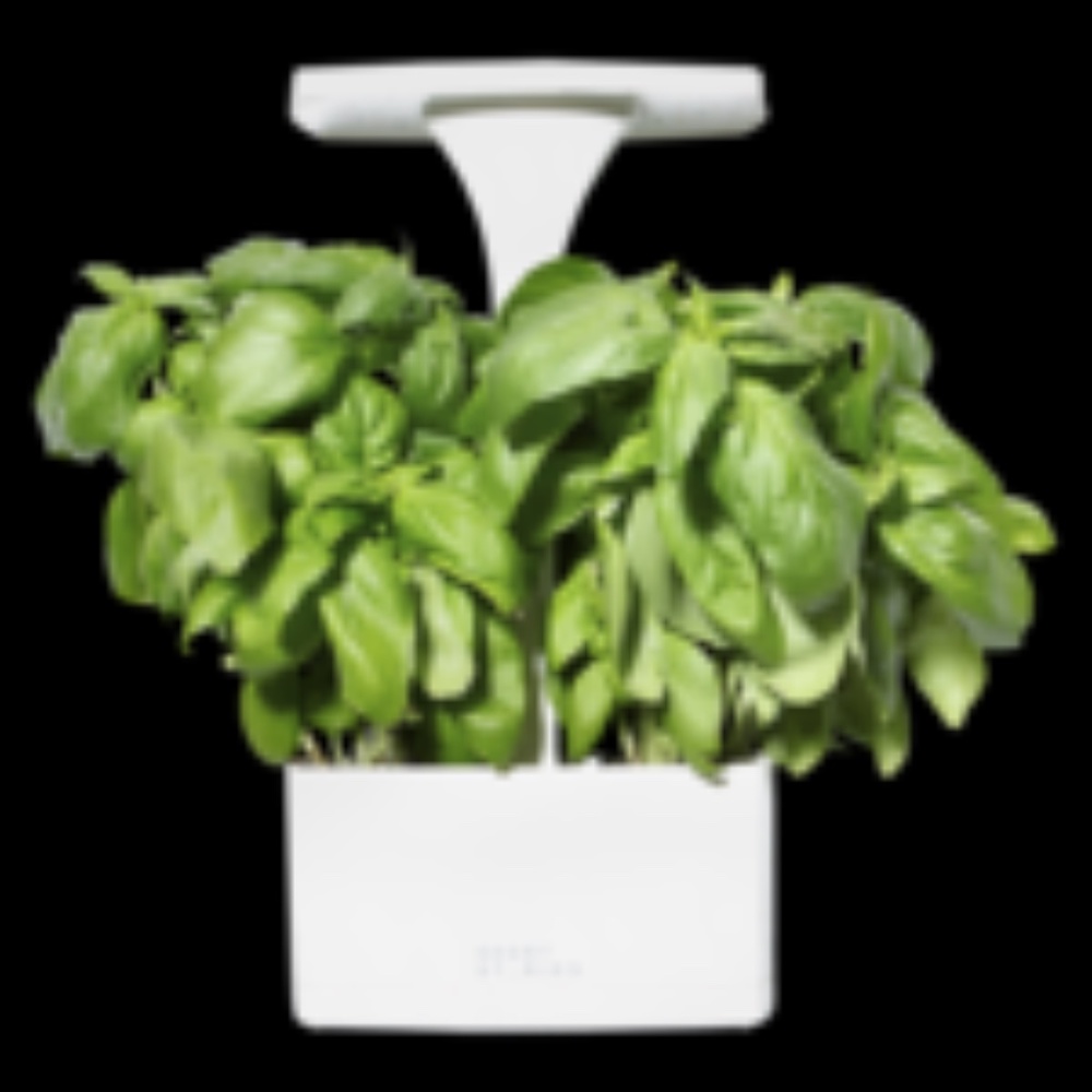 Short Stories LED Indoor Planter